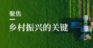 實施鄉村振興戰略，這些關鍵點一個也不能少